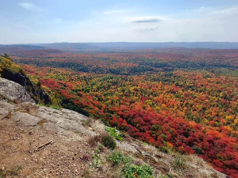 Robertson Cliffs: Where Falcons Fly Guided Hike - Key Points