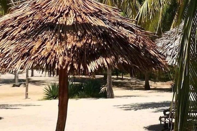 ROBINSON ISLAND/MARAFA HELL's KITCHEN - The Sum Up