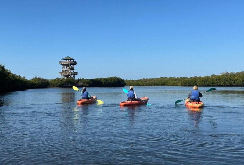Robinson Preserve Mangrove Tour - Itinerary and Highlights