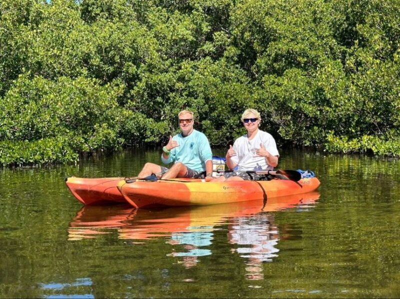 Robinson Preserve Mangrove Tour - The Value of the Experience
