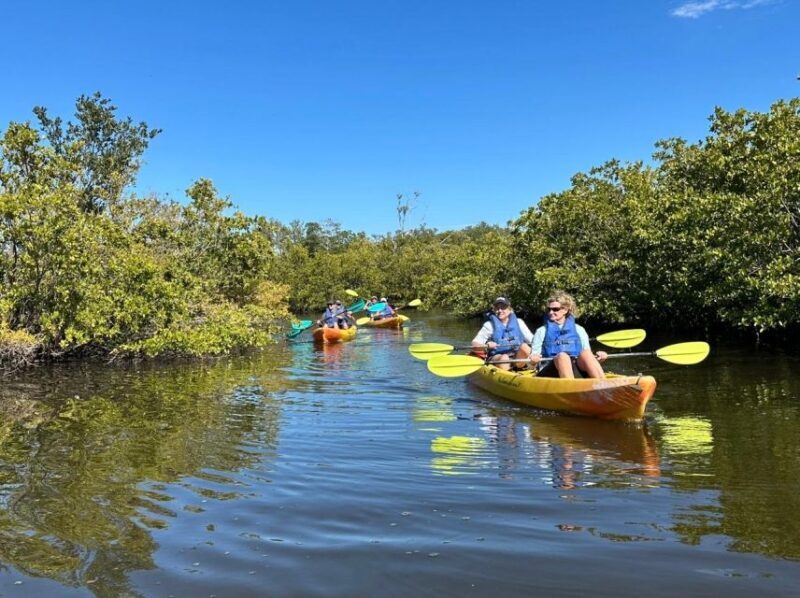 Robinson Preserve Mangrove Tour - Practical Tips for Travelers