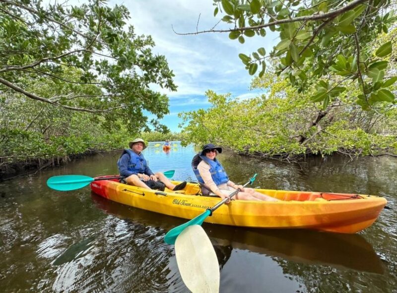 Robinson Preserve Mangrove Tour - The Sum Up: Who Should Book This Tour?
