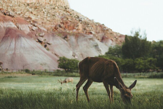 Rock Climbing Day Trip at Smith Rock State Park - The Value of the Experience