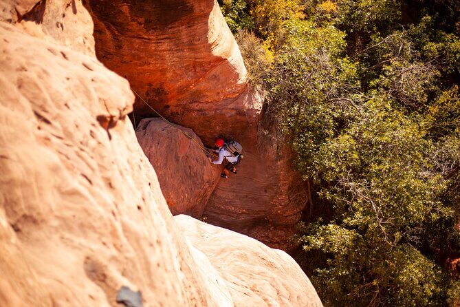 Rock Climbing Near Zion - Pricing and Value