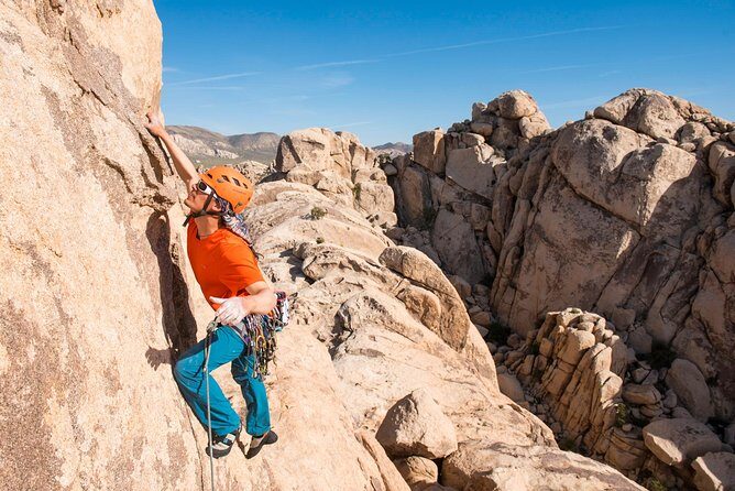 Rock Climbing Trips in Joshua Tree National Park (4 Hours) - An In-Depth Look at the Joshua Tree Climbing Experience