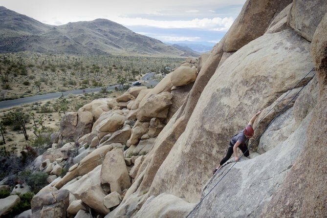 Rock Climbing Trips in Joshua Tree National Park (4 Hours) - The Sum Up