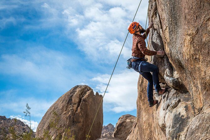 Rock Climbing Trips in Joshua Tree National Park (6 Hours) - The Sum Up