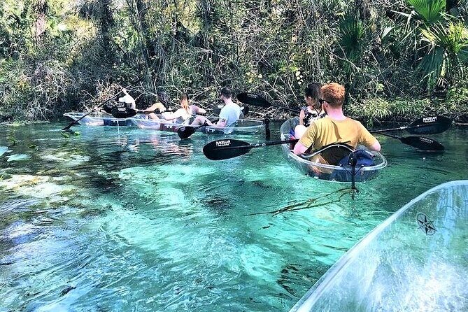 Rock Springs 2-Hour Glass Bottom Guided Kayak Eco Tour - An In-Depth Look at the Eco Tour Experience