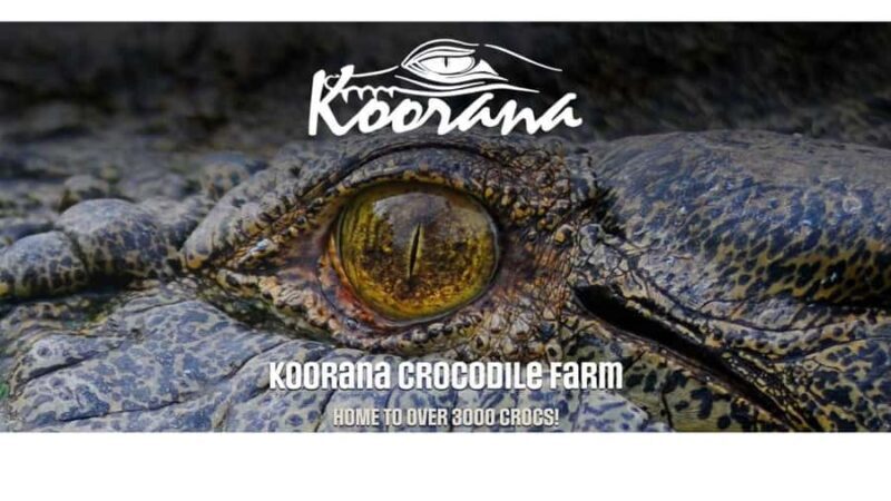 Rockhampton: Koorana Crocodile Farm Guided Tour - A Closer Look at the Koorana Crocodile Farm Guided Tour
