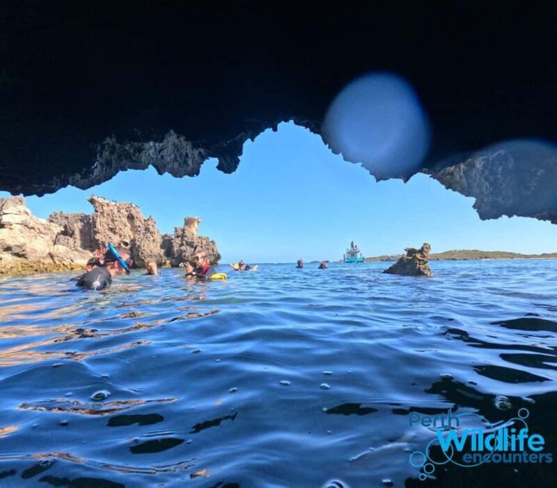 Rockingham: 3 Island Wildlife Snorkeling Cruise with Lunch - An In-Depth Look at the Experience