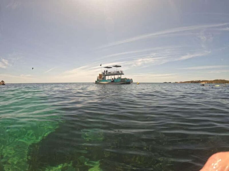Rockingham: 3 Island Wildlife Snorkeling Cruise with Lunch - Who Will Love This Tour?