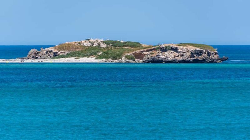 Rockingham: 3 Island Wildlife Snorkeling Cruise with Lunch - The Bottom Line