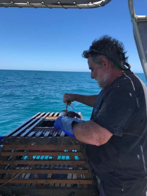 Rockingham: Lobster Catch and Keep Tour with Refreshments - Final Thoughts: Who’s this tour for?