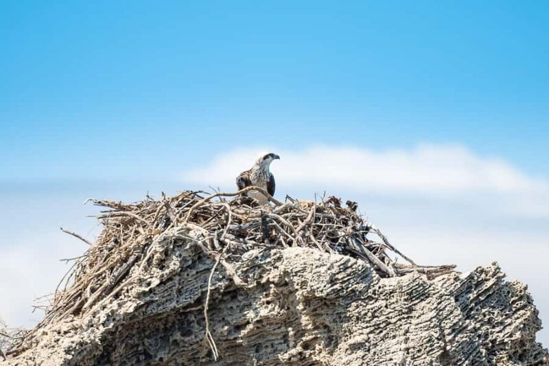 Rockingham: Shoalwater Islands, Dolphins, and Sea Lions Tour - FAQ