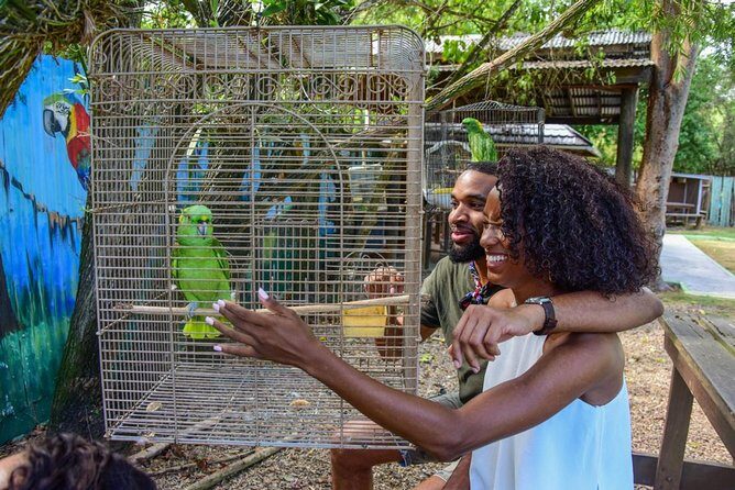 Rockland Bird Sanctuary plus Montego Bay Highlights & Shopping Private Tour - Exploring the Rockland Bird Sanctuary