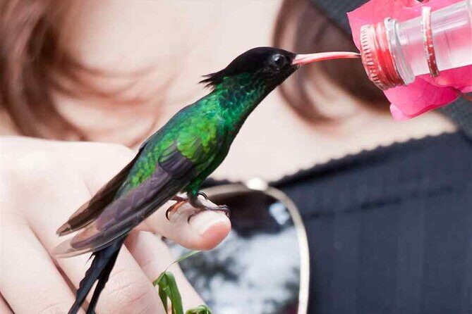 Rockland Bird Sanctuary Private Tour - An Overview of the Experience