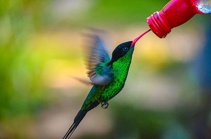 Rockland Bird Sanctuary Private Tour - The Value of the Experience
