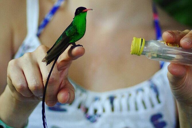 Rockland Bird Sanctuary Private Tour - Who Will Love This Tour?