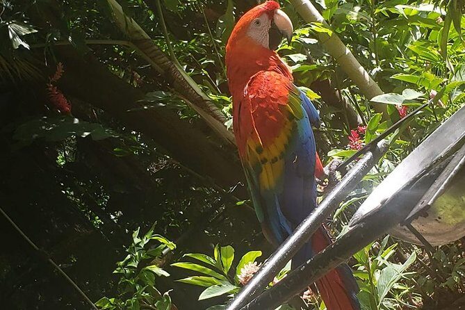 Rockland Bird Sanctuary Tour [Transportation] Hotel Pick-Up - What the Tour Promises
