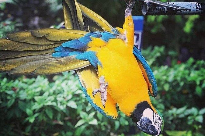 Rockland Bird Sanctuary Tour [Transportation] Hotel Pick-Up - Who Will Enjoy This Tour?