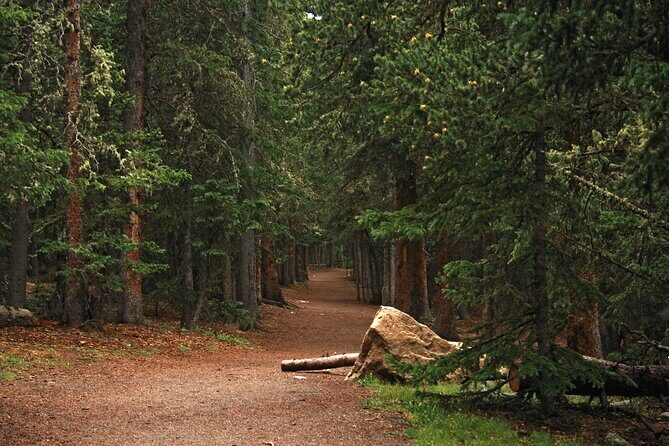 Rocky Mountain Escape - Practical Considerations