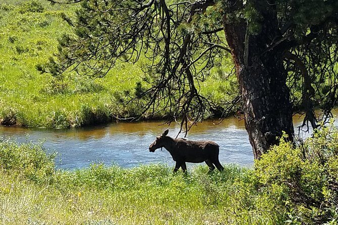 Rocky Mountain National Park and Estes Park Tour from Denver Winter and Spring - What Does the Experience Mean for You?