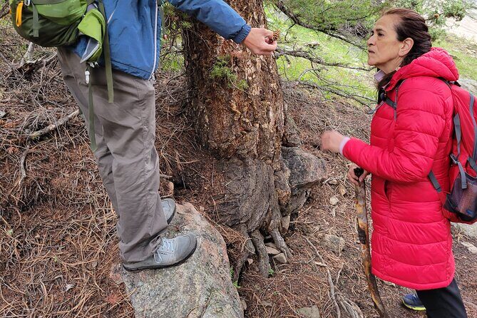 Rocky Mountain National Park Half Day Hike - The Experience in Detail: What to Expect