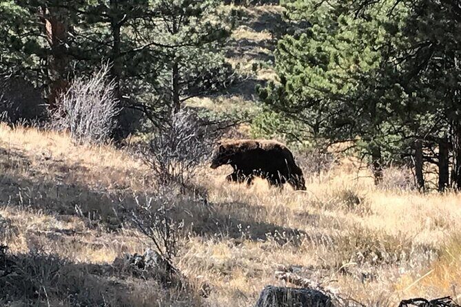 Rocky Mountain National Park in Summer Tour from Denver - Who Would Love This Tour?