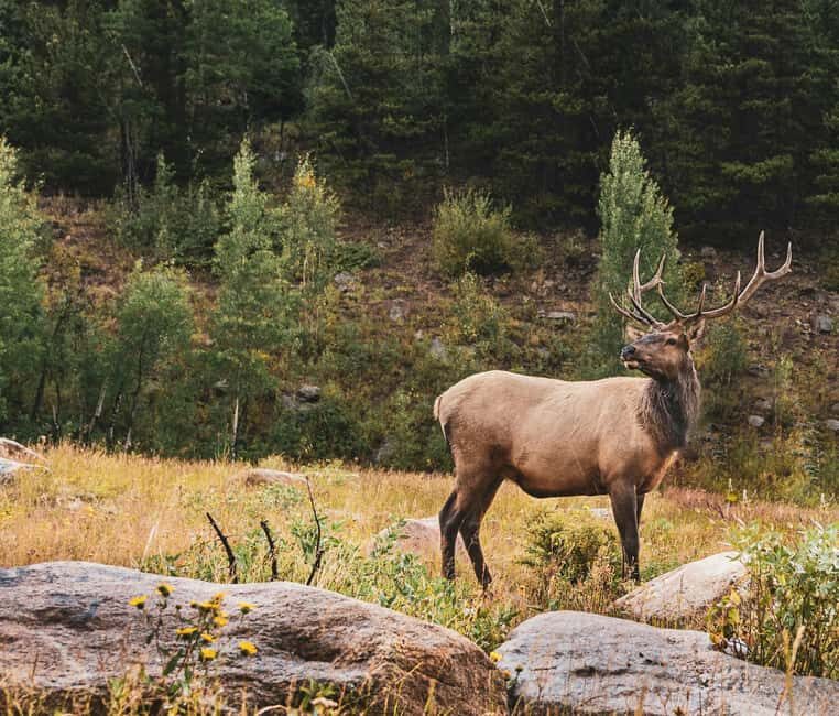 Rocky Mountain National Park: Private Hike to Emerald Lake - Transportation and Overall Value