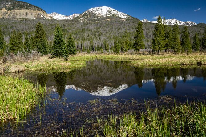 Rocky Mountain National Park Self-Guided Driving Audio Tour - Why Choose a Self-Guided Audio Tour?