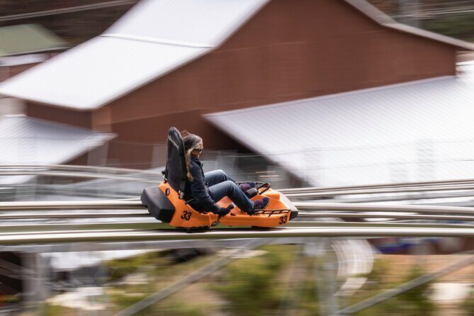 Rocky Top Mountain Coaster Admission Ticket in Pigeon Forge - A Detailed Look at the Rocky Top Mountain Coaster