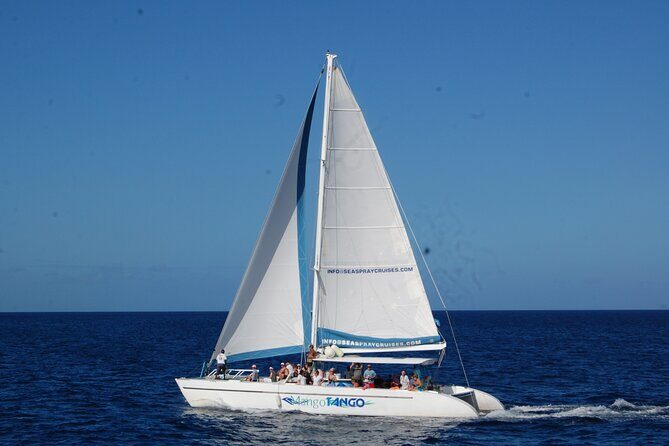 Rodney Bay to Soufriere Catamaran Transfer - Key Points