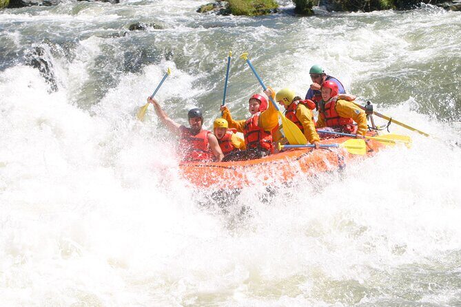 Rogue River Whitewater- Morning Rafting Adventure - A Thorough Look at the Rogue River Whitewater Experience