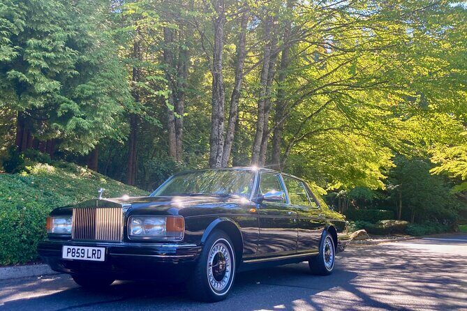 Rolls-Royce & Bentley Chauffeured All-inclusive Wine Tasting Tour - Who Is This Tour Best For?