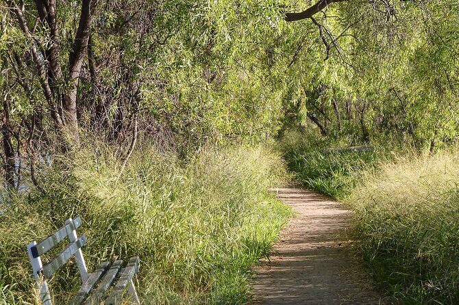 Roma: 1-Hour Birdwatching Nature Trail Walk - Frequently Asked Questions