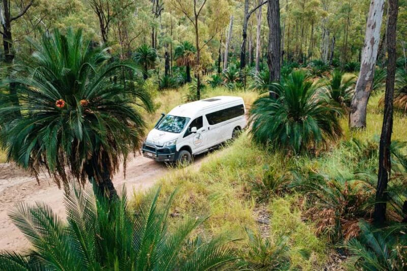 Roma: Lost World Carnarvons and Wallaroo Day Tour - Cost-Value Analysis