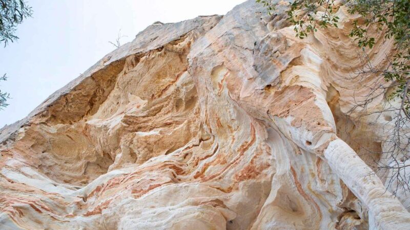 Roma: Lost World Carnarvons and Wallaroo Day Tour - Who Will Love This Experience?