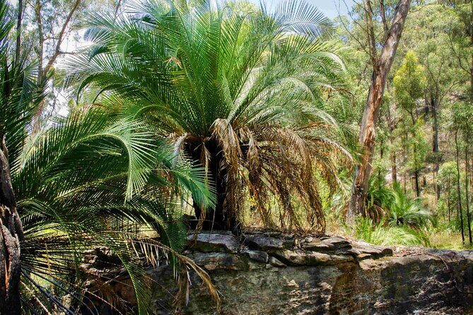 Roma: Lost World Carnarvons (Wallaroo) Day Tour - Who Should Consider This Tour?