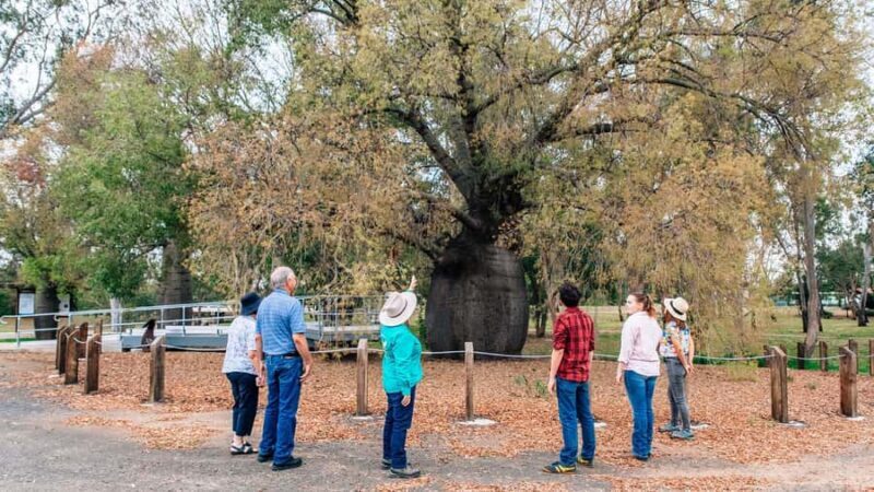 Roma: Roma Revelation Half Day Tour - Discovering Roma: A Genuine Outback Town