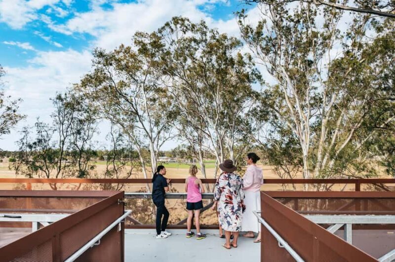 Roma: The Big Rig Oil Patch and Tower & Tree Walk - The Value and Practicalities