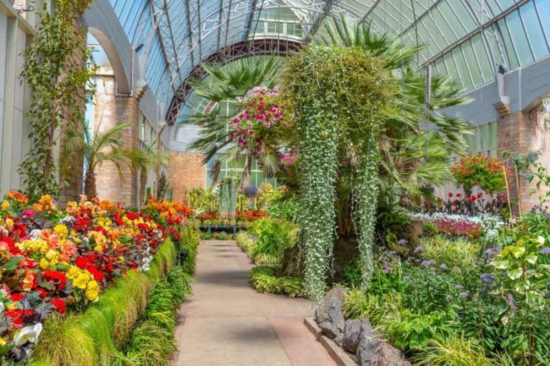 Romantic Charms of Auckland Private Walking Tour - An Introduction to Auckland’s Romantic Side