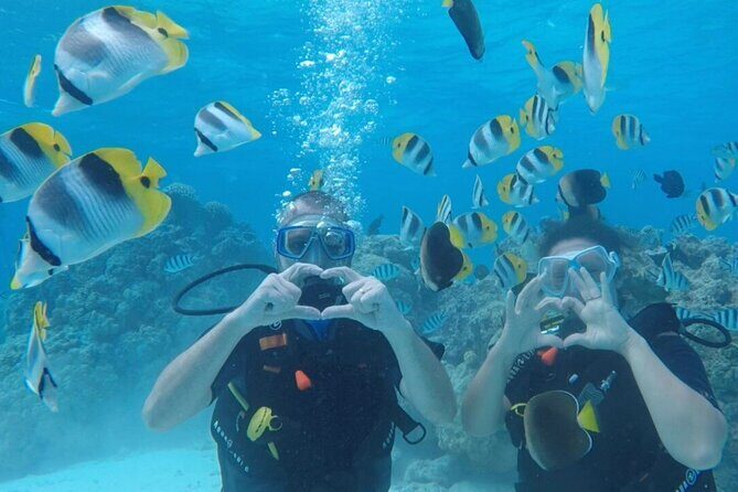 Romantic Dive for beginners in Bora Bora (2 people) with Video - What’s Included and How It Works