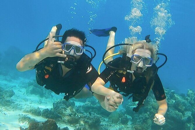 Romantic Dive for beginners in Bora Bora (2 people) with Video - What Travelers Say