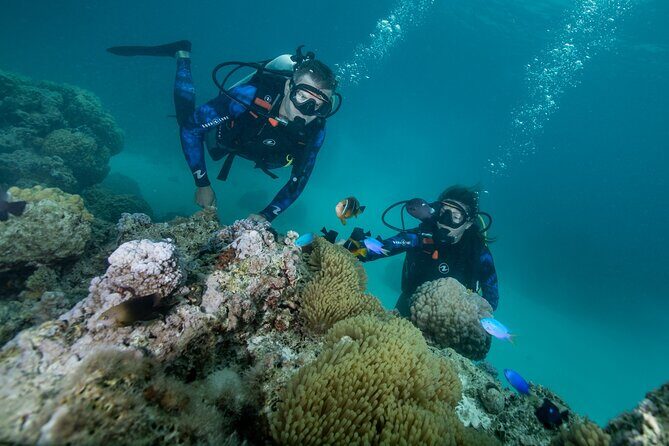 Romantic dive in the lagoon of Bora Bora. Private instructor on a shared boat - Why This Experience Delivers