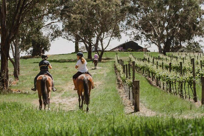 Romantic Horse Trail Ride with Wine and Food in Adelaide Hills - Exploring the Romantic Horse Trail Ride with Wine and Food in Adelaide Hills
