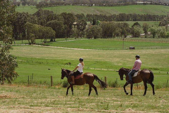 Romantic Horse Trail Ride with Wine and Food in Adelaide Hills - Key Points