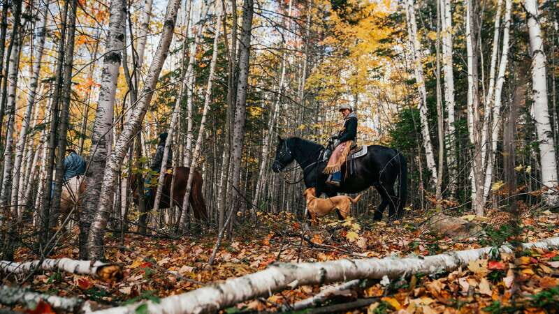 Romantic horseback riding at sunset : La Crépuscule - An In-Depth Look at La Crépuscule: A Sunset Horseback Ride in Quebec