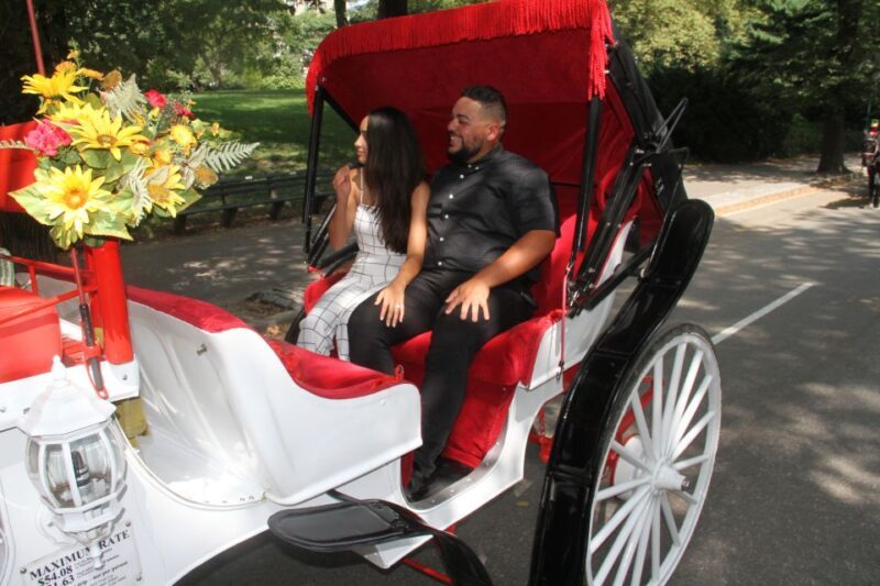 Romantic/Proposal Central Park Carriage Tour Up to 4 Adults - An In-Depth Look at the Central Park Carriage Experience