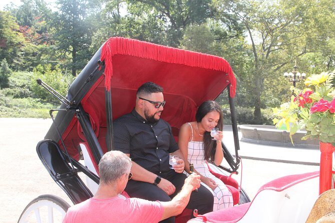 Romantic/Proposal Central Park Carriage Tour (Up to 4 Adults) - The Itinerary: What to Expect