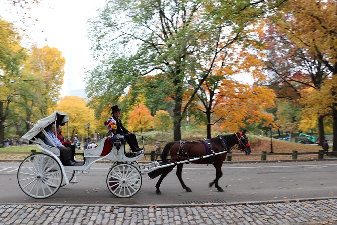 Romantic/Proposal Central Park Carriage Tour (Up to 4 Adults) - Authentic Experiences and What Travelers Say